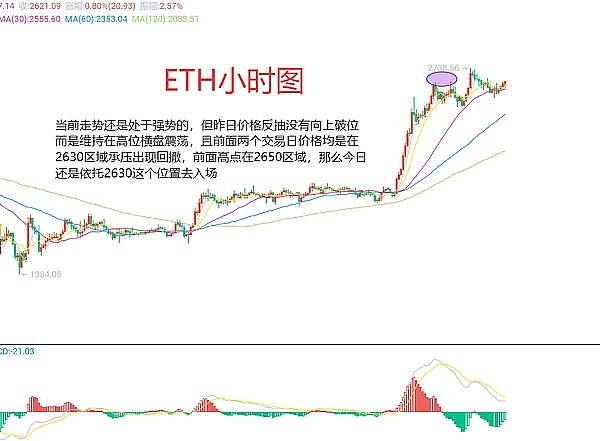 PEPE币的狂欢：这场青蛙王子还能跳多高？