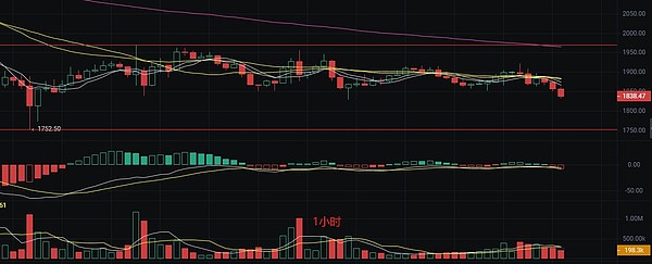 SocialFi新贵$tip：是机遇还是昙花一现？