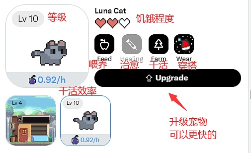 市场短期承压？山寨币行情可能面临考验