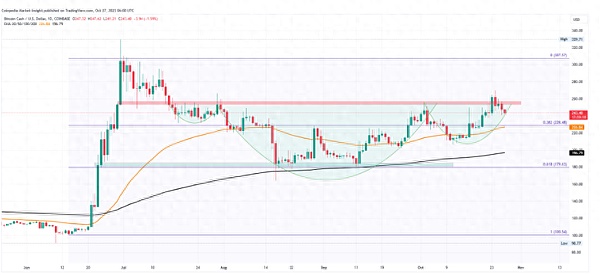 CORE：加密世界里的潜力股，未来价值几何？