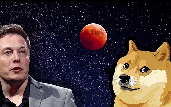 比特币狂欢夜！700点暴利狂揽记