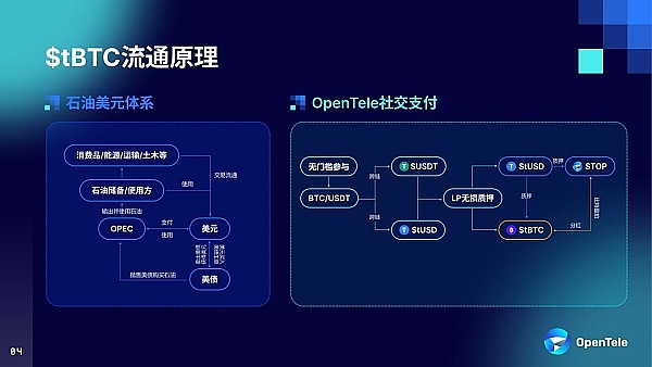 从韭菜到老韭菜：一位币圈老司机的血泪经验分享