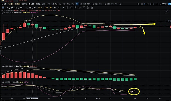 Blast的明牌游戏：当羊毛党遇上资本大佬的狂欢