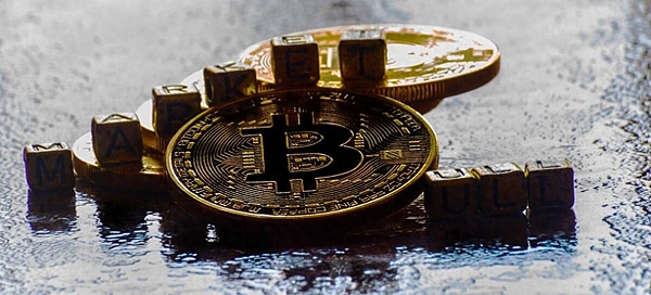 FTX创始人父母卷入惊天丑闻：大学教授竟成家贼？