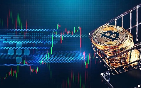 币市震荡期生存指南：一个老韭菜的肺腑之言