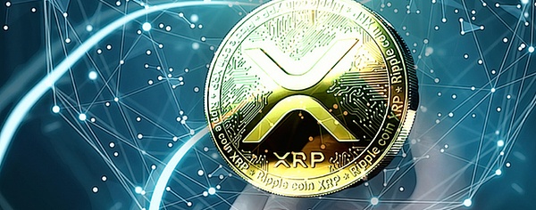银发族的数字金融革命：比特币如何改写老年人的财务未来