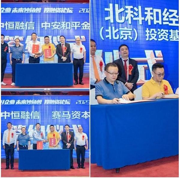 铭文投资避坑指南：这些平台我都帮你踩过点